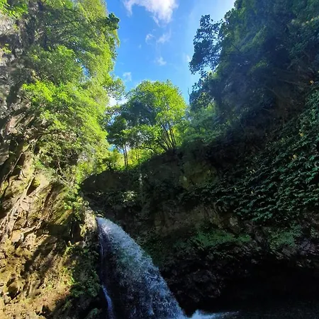 Dhamma Experience Funchal (Madeira)